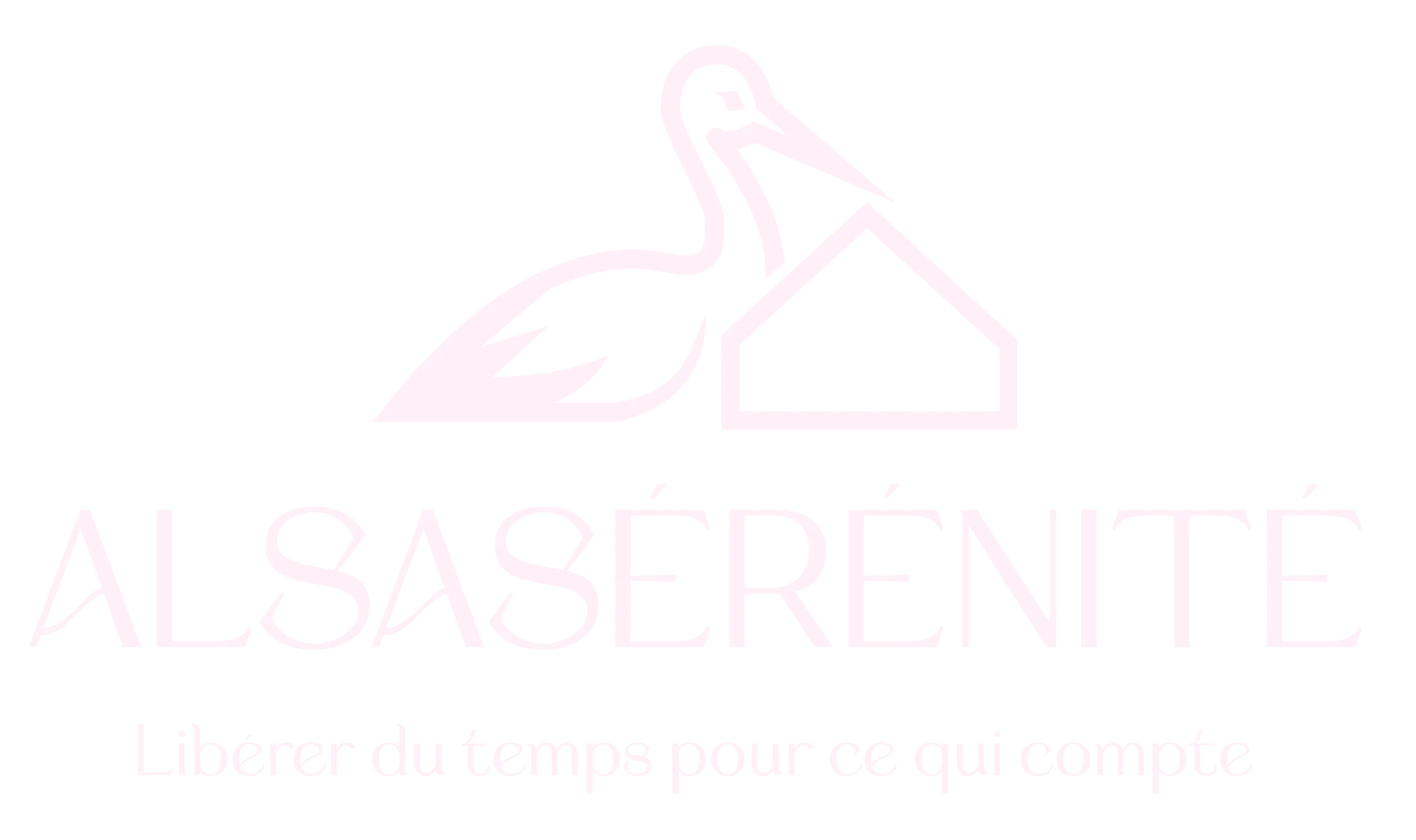 alsaserenite conciergerie a l annee colmar